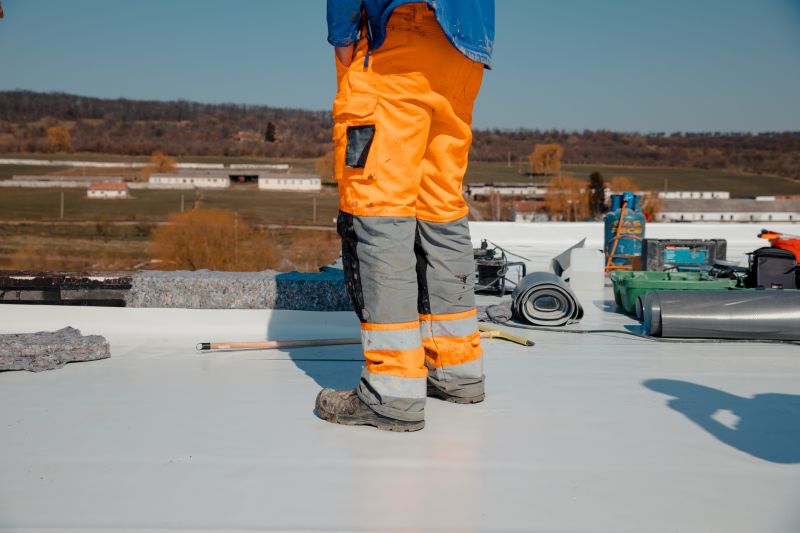 Business Roof Inspection detail